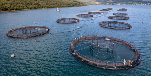 Desteklemeler Ödendi